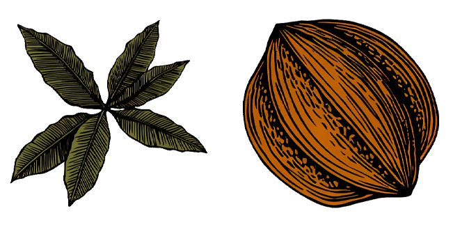 Vintage Cacao Bean & Leaves Cursor