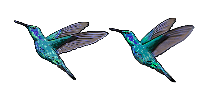 Hummingbird Animated Cursor