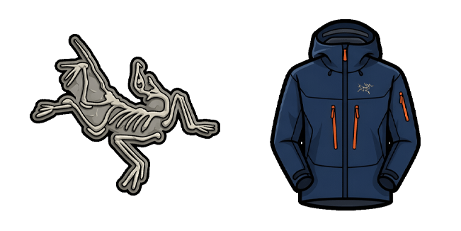 Arcteryx Blue Jacket & Logo Fossil Cursor