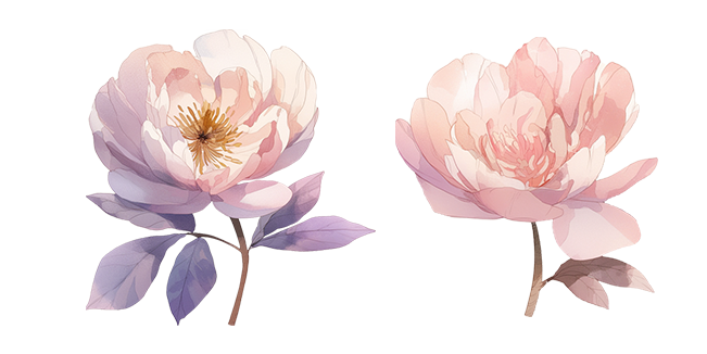 Auroral Peony Flower Cursor