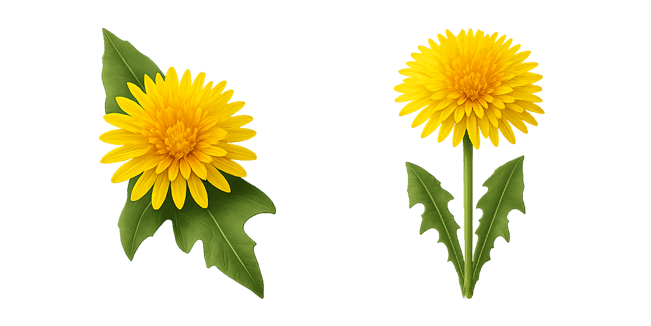 Dandelion Bloom Flower Cursor
