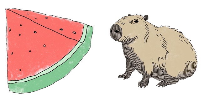 Watermelon Slice & Capybara Cursor