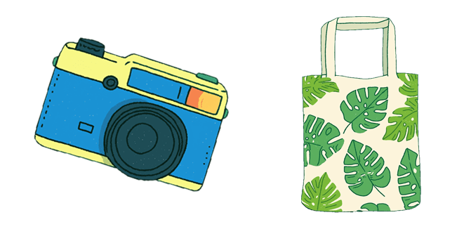 Camera & Tote Bag Cursor