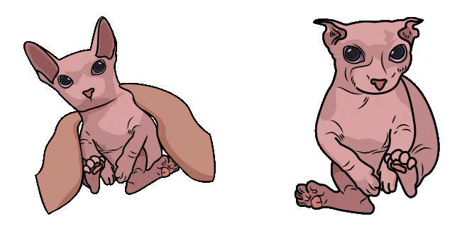 Bingus Meme Animated Cursor