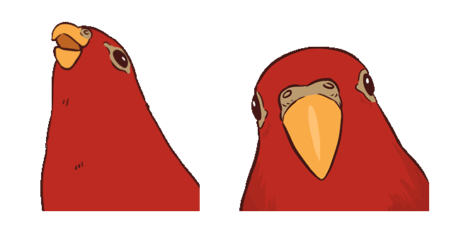 Red Bird Laughing Then Staring Meme Animated Cursor