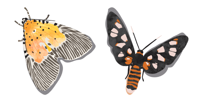 Watercolor Moth Cursor