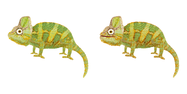 Colorful Chameleon Animated Cursor