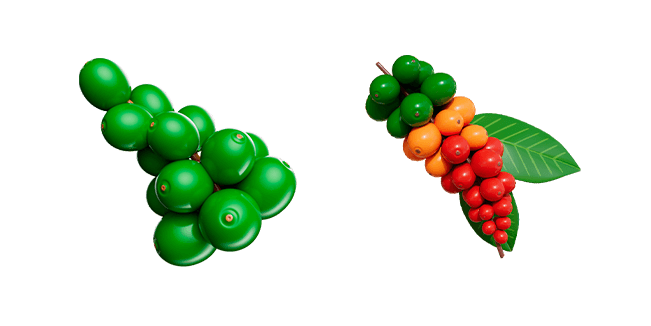 Coffee Beans Plant 3D Cursor