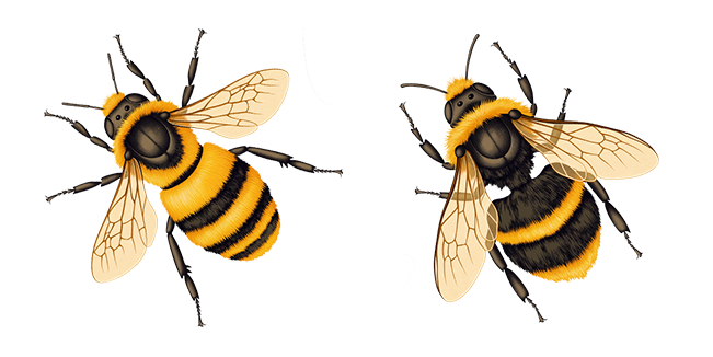 Realistic Bee Cursor