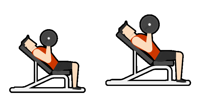 Bench Press Animated Cursor