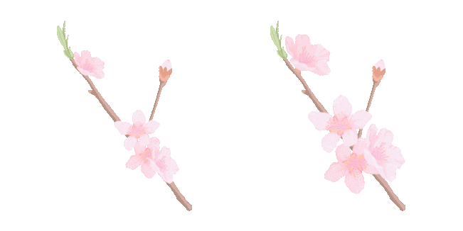 Cherry Blossom Animated Cursor