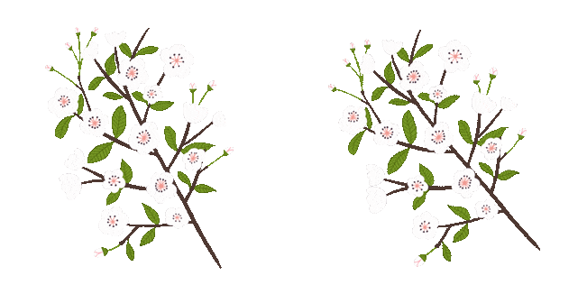 White Blossom Branch Animated Cursor