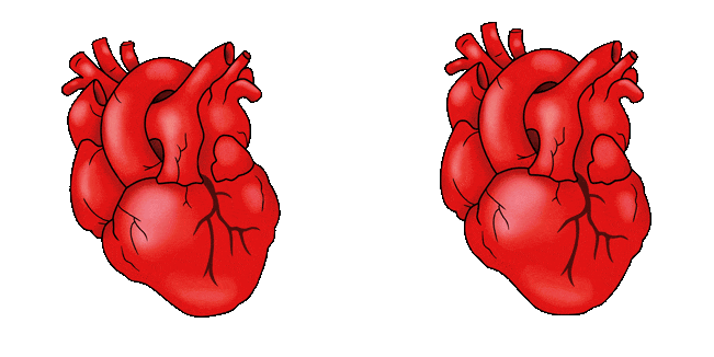Human Heart Animated Cursor