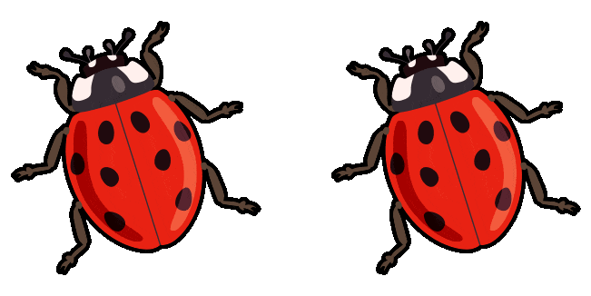 Ladybird Animated Cursor