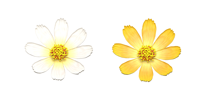 White & Yellow Cosmos Flower 3D Cursor
