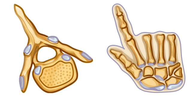 Anatomic Cursor