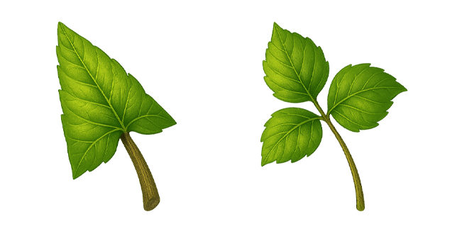 Green Leaf Nature Cursor